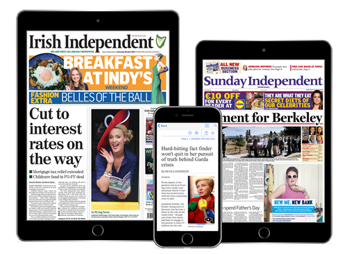 Irish Independent digital offer