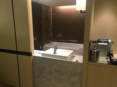 Crowne Plaza Geneva review bathroom 2