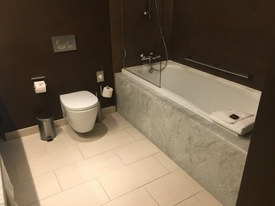 Crowne Plaza Geneva review bathroom 3