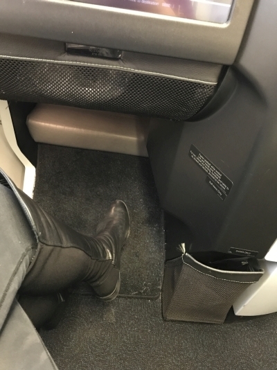 Aer Lingus business class review A330 Dublin to Boston