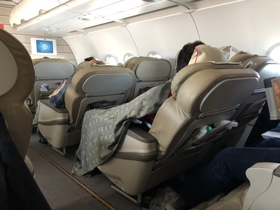 airbus a319 royal jordanian business class