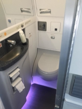 BA A321 toilet