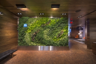 Amex centurion lounge living wall