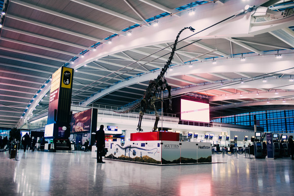 Heathrow Terminal 5 dinosaur skeleton