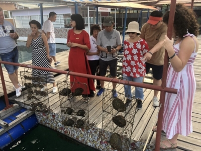 Paradise Cruises Halong Bay oyster farm