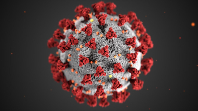 Coronavirus Tier 4 travel guidance