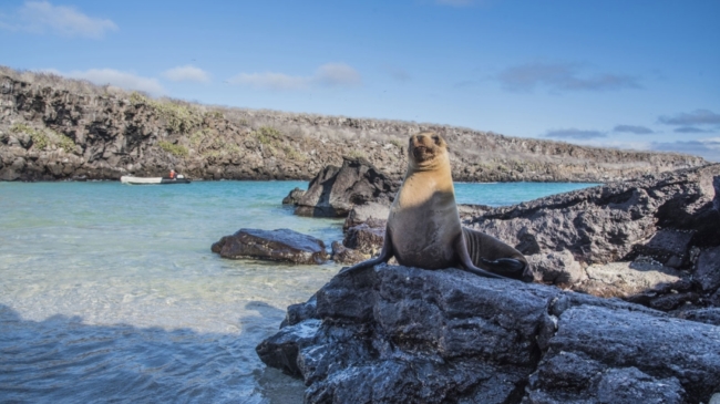 Review Finch Bay Galapagos Hotel, Ecuador