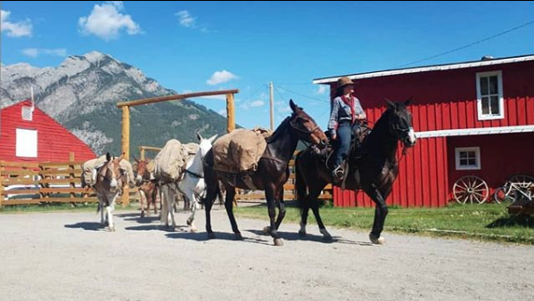 Review Sundance Lodge, Alberta, Canada