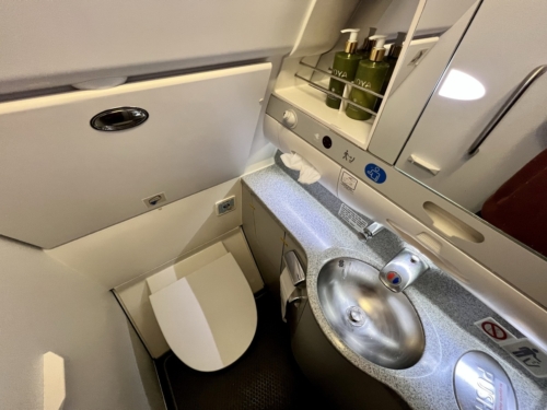 Aer Lingus A330 business class bathroom