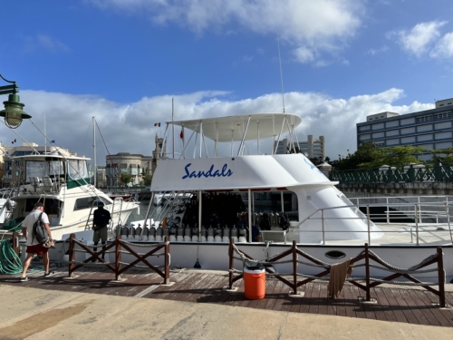 Sandals Royal Barbados dive boat