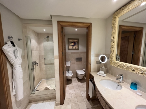 Ritz-Carlton Abama villa shower toilet