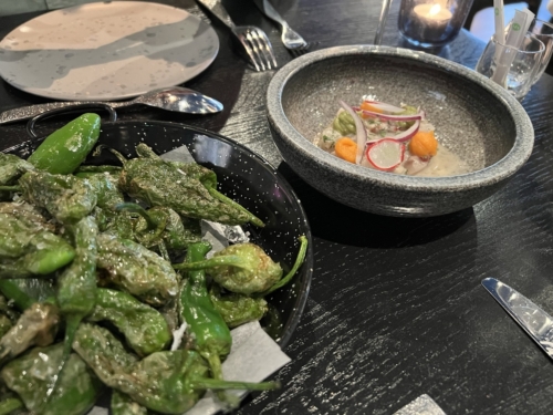 Andaz Amsterdam Prinsengracht Bluespoon padron ceviche