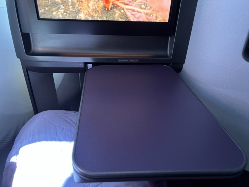 Qatar Airways 787-9 business class tray table portrait