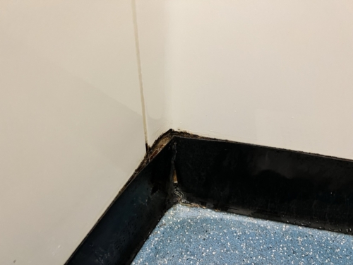 BA arrivals lounge T5 shower damage