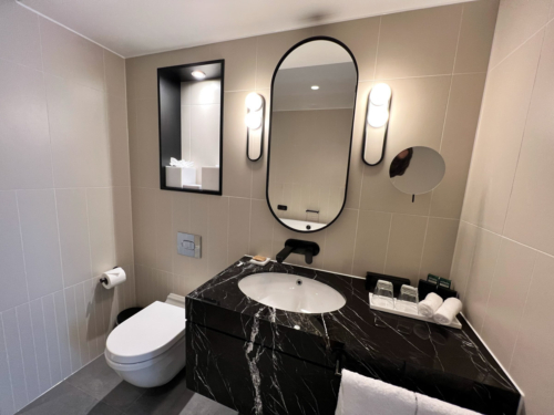 Hyatt Regency Stratford washbasin