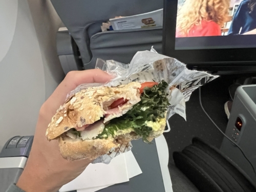 Norse Atlantic 787 Premium sandwich