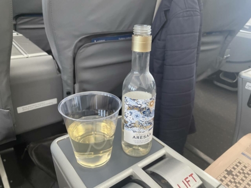 Review: flying to Oslo from Gatwick in Norse Atlantic Premium