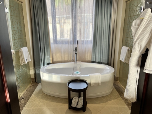 Westin Turtle Bay Mauritius bath