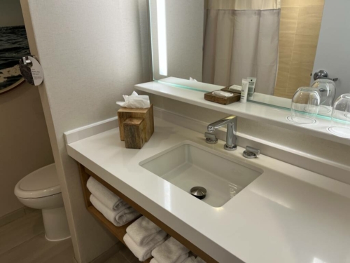 Newport Marriott hotel review bathroom