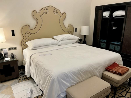 Review: Hotel Alfonso XIII, Seville