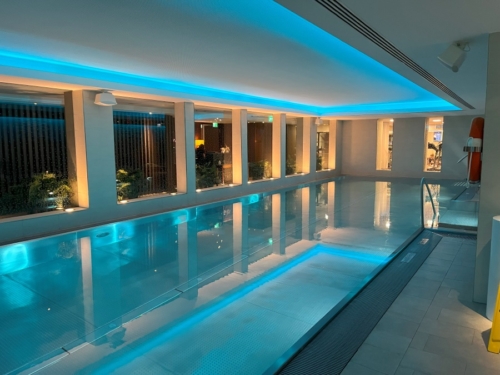 Ritz Carlton Vienna hotel swimming pool