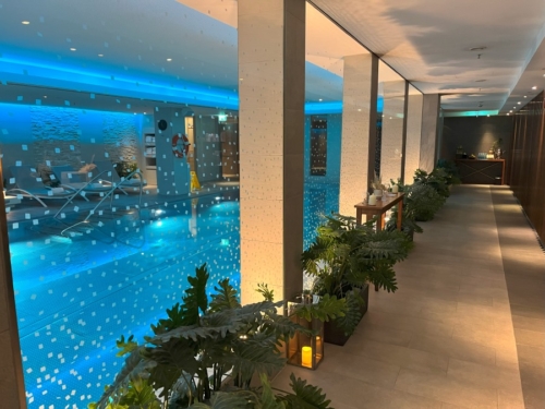 Ritz Carlton Vienna swimming pool