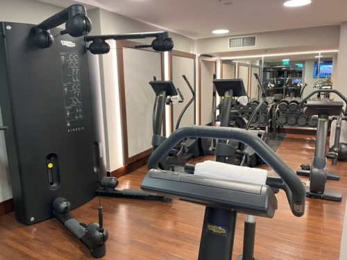 Ritz Carlton Vienna gym