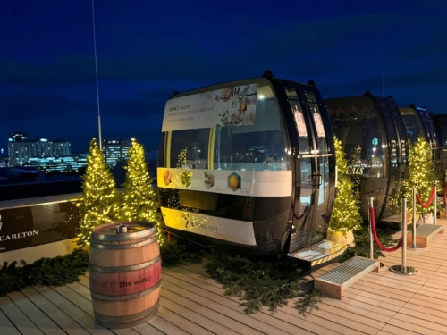 Ritz Carlton Vienna rooftop bar