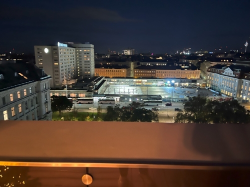 Ritz Carlton Vienna rooftop bar