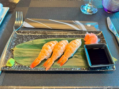 Review Qatar Airways Al Mourjan The Garden lounge Doha Hamad Airport