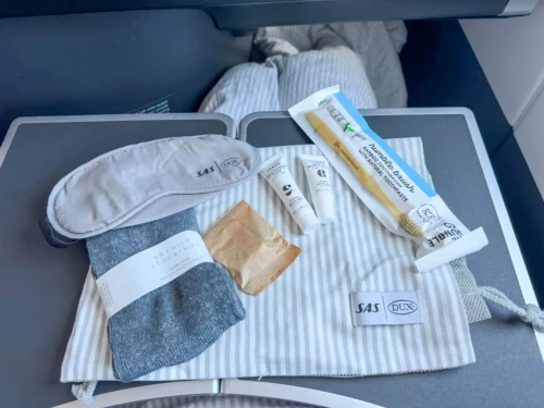 Review: SAS Business on the A350 from Copenhagen to Los Angeles