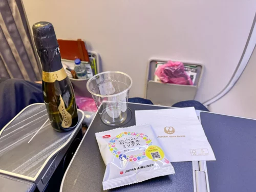 Review Japan Airlines A350 premium economy