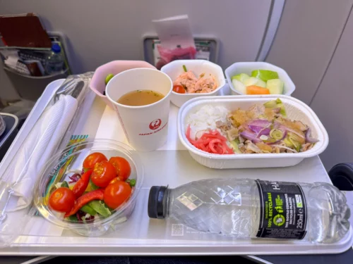 Review Japan Airlines A350 premium economy