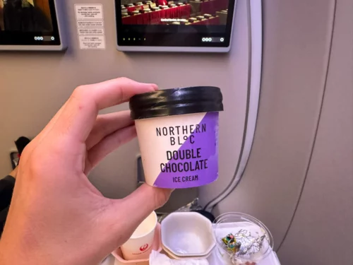 Review Japan Airlines A350 premium economy