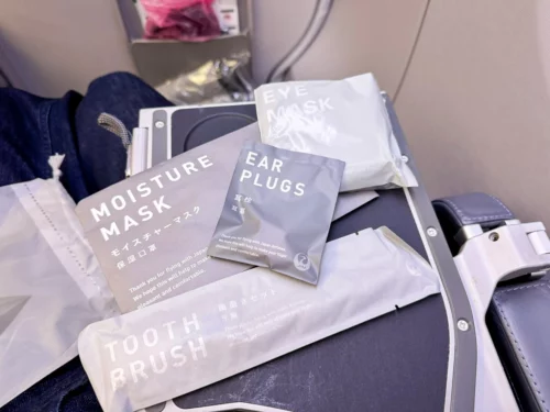 Review Japan Airlines A350 premium economy