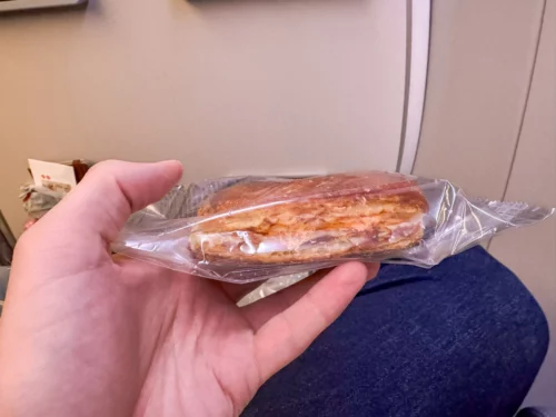 Review Japan Airlines A350 premium economy