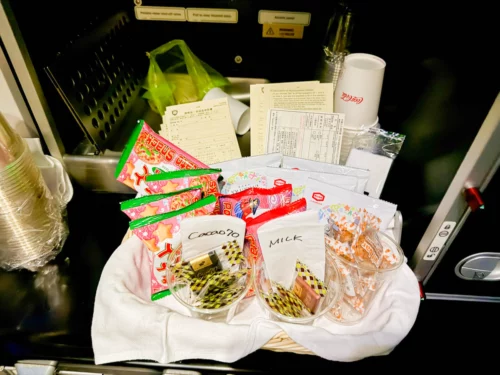 Review Japan Airlines A350 premium economy