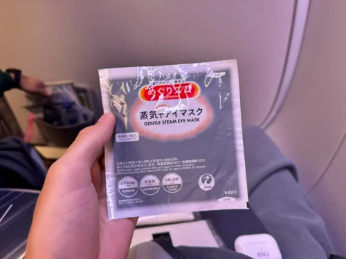 Review Japan Airlines A350 premium economy