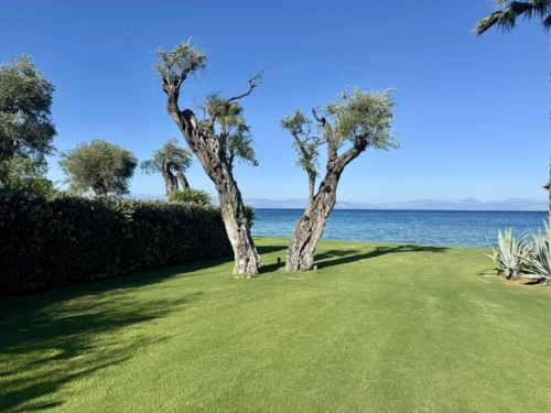 Domes Miramare olive trees and sea